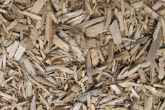 biomass boilers Padstow